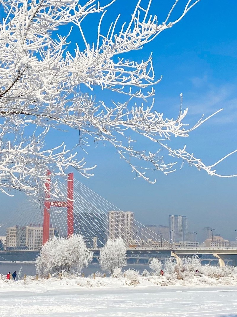 东北风情之旅，吉林，邂逅自然之美🌟🍃🏞️