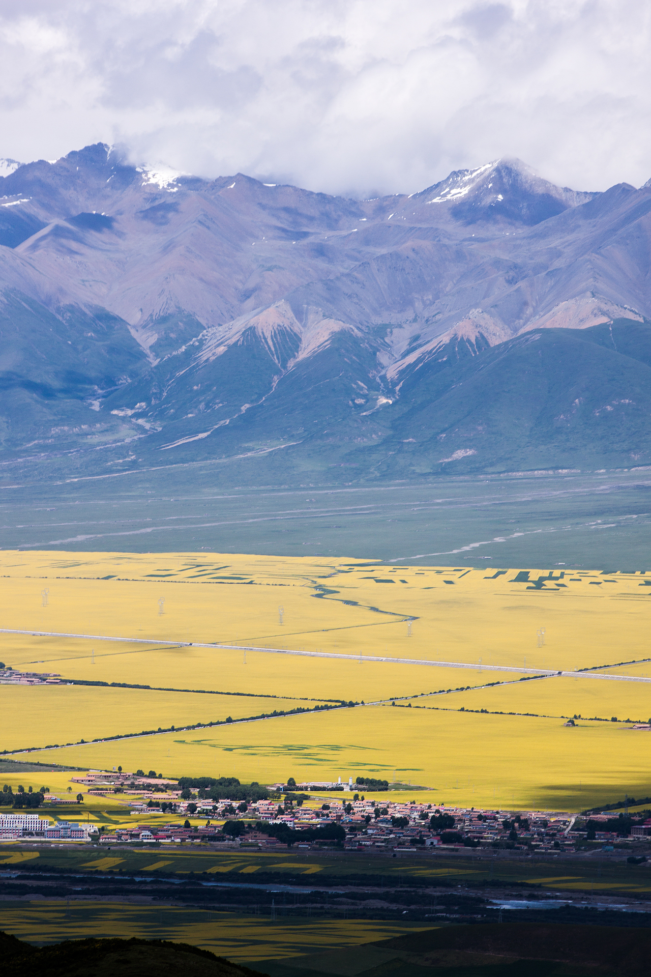 青海之韵,探索高原的独特魅力