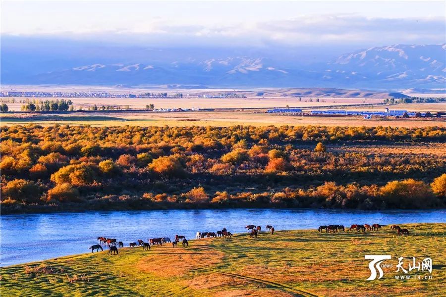 新疆,历史长河中的璀璨明珠闪耀之地