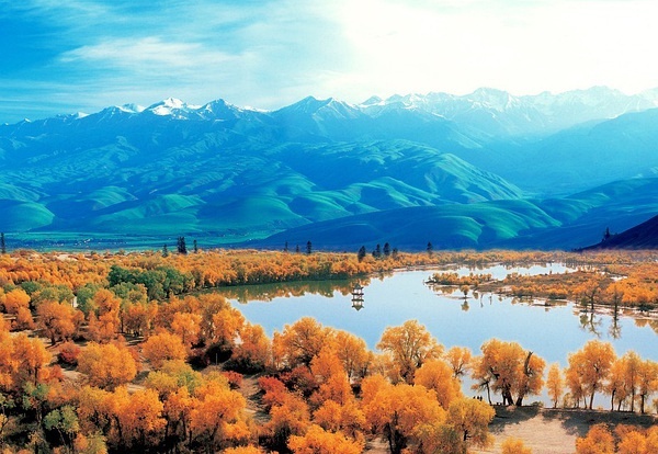 新疆,历史长河中的璀璨明珠闪耀之地