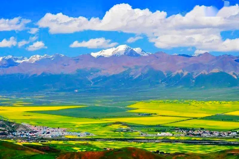 夏日青海,阳光下的友情篇章